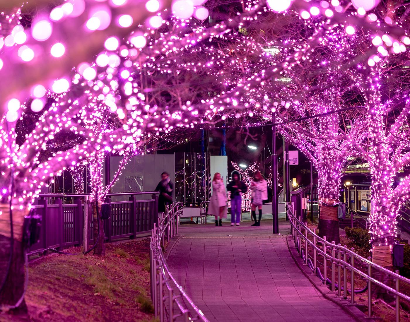 🏞️ 고탄다 만남의 물가 광장(고탄다 후레아이 미즈베 히로바) 이미지 7